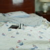 block printed quilts